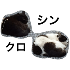 [LINEスタンプ] ねこの気分