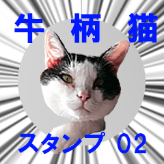 [LINEスタンプ] 牛柄猫スタンプ02