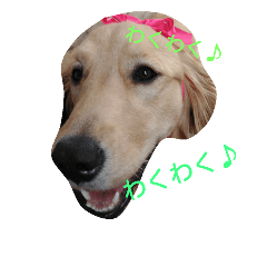 [LINEスタンプ] Hanaponpon