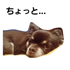 [LINEスタンプ] ちよの一言