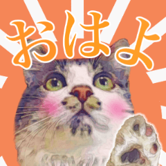 [LINEスタンプ] 猫のみぃさん