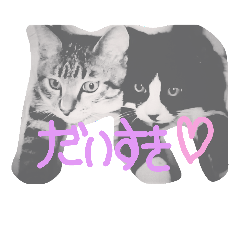 [LINEスタンプ] わたしのぺっとたち