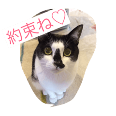 [LINEスタンプ] 福ちゃんの日常