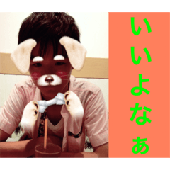 [LINEスタンプ] たいがスタンプ