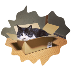 [LINEスタンプ] てらしま家の猫