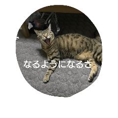 [LINEスタンプ] 気まぐれモカちん