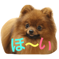 [LINEスタンプ] 獅と狛  withモコモコ