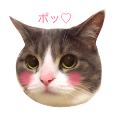 [LINEスタンプ] フラフィさんとおはぎどん