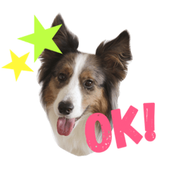 [LINEスタンプ] Luke's sticker