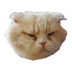 [LINEスタンプ] ぬけさくの日常 2