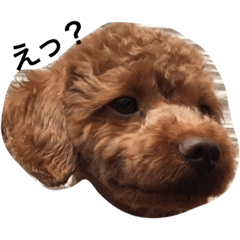 [LINEスタンプ] なめ   くろ