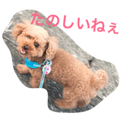 [LINEスタンプ] レオ(1)