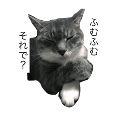 [LINEスタンプ] うちのにゃんこども