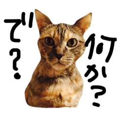 [LINEスタンプ] まがり①