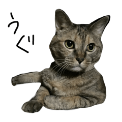 [LINEスタンプ] まがり②