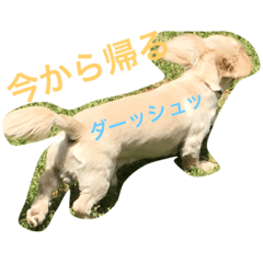[LINEスタンプ] クゥルゥ1