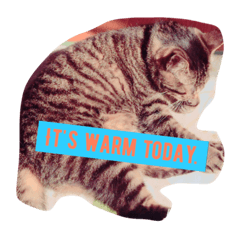 [LINEスタンプ] 家猫キジトラ 2