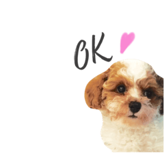 [LINEスタンプ] marulifespecial3