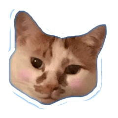 [LINEスタンプ] たくさんの猫たちと犬