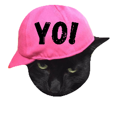 [LINEスタンプ] 黒猫の猫氏。