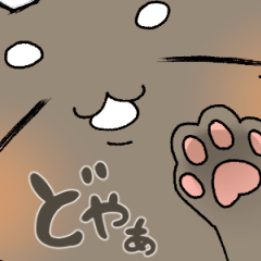 [LINEスタンプ] マロ眉ねこの日常会話(？)