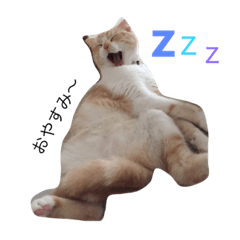 [LINEスタンプ] あずきなこ