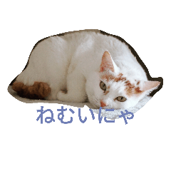 [LINEスタンプ] まりもと楽しい仲間たち