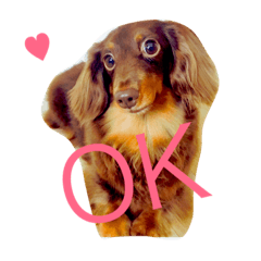 [LINEスタンプ] らぶさんの日常
