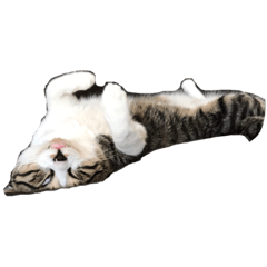 [LINEスタンプ] こじだけ
