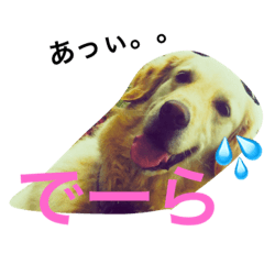 [LINEスタンプ] ゴールデン