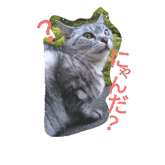 [LINEスタンプ] テンテンさん