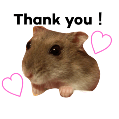 [LINEスタンプ] ぽんみる