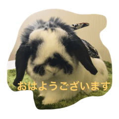 [LINEスタンプ] ぷうちゃんくん