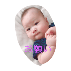 [LINEスタンプ] 蒼叶の日々