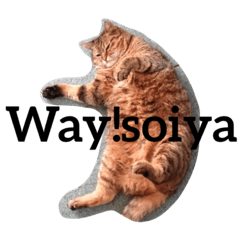[LINEスタンプ] ふうちゃんの日常のすたんぺ