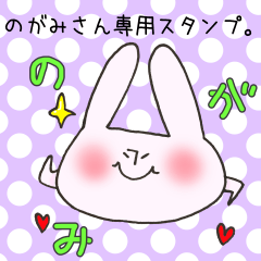 [LINEスタンプ] のがみさん専用スタンプの画像（メイン）