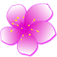 [LINEスタンプ] Sakura (Thai)