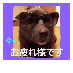 [LINEスタンプ] 日常の用語2