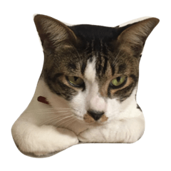 [LINEスタンプ] とらのすけ