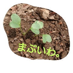[LINEスタンプ] 私の気持ち。3