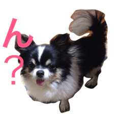 [LINEスタンプ] りっちー