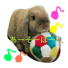 [LINEスタンプ] きなこと暮らす