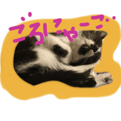 [LINEスタンプ] ルルの1日