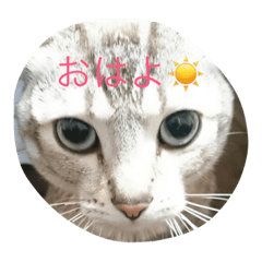 [LINEスタンプ] びびちゃん