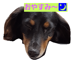 [LINEスタンプ] ワンダフルー