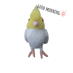 [LINEスタンプ] 使える！シンプルなインコ