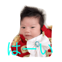 [LINEスタンプ] とらのすけスタンプ