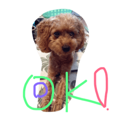 [LINEスタンプ] MuMokkawaii