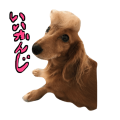 [LINEスタンプ] ちびことてと
