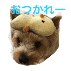 [LINEスタンプ] かわいいウラン